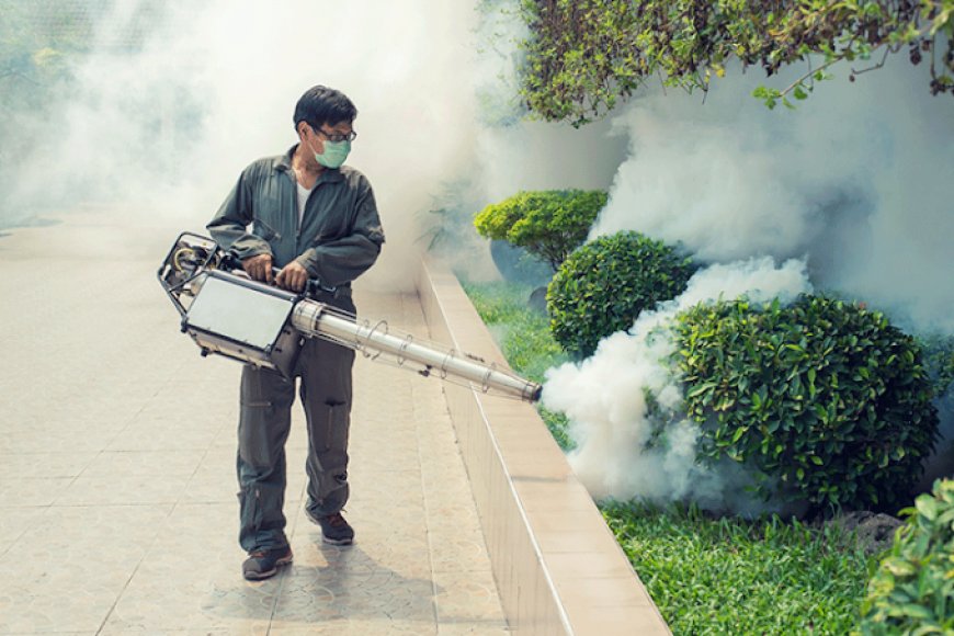 Top Signs You Need a Pest Control Service