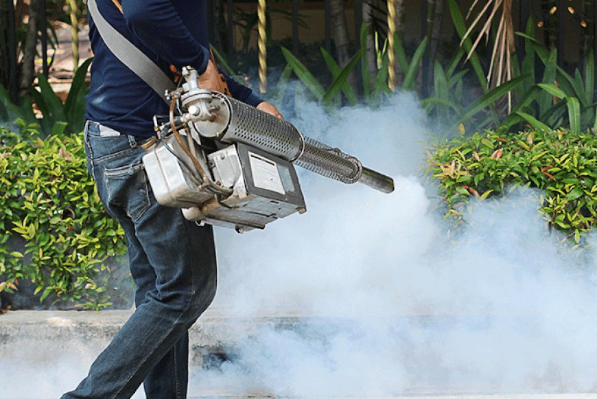 Top Signs You Need a Pest Control Service