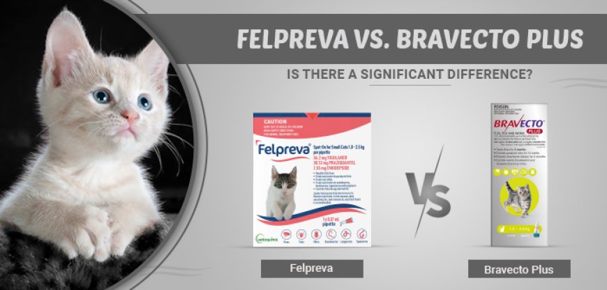 Comparison: Felpreva vs. Bravecto Plus