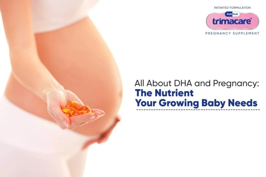 Best DHA for Pregnancy A Comprehensive Guide