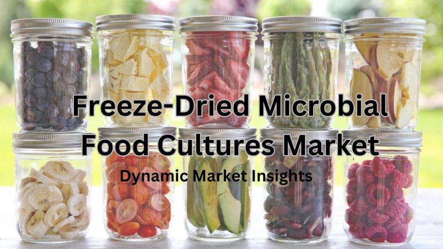 Cultivating Success in Freeze-Dried Microbial Food Cultures Market: Exploring the Explosive Growth in the Global Market by 2031: Dynamic Market Insights