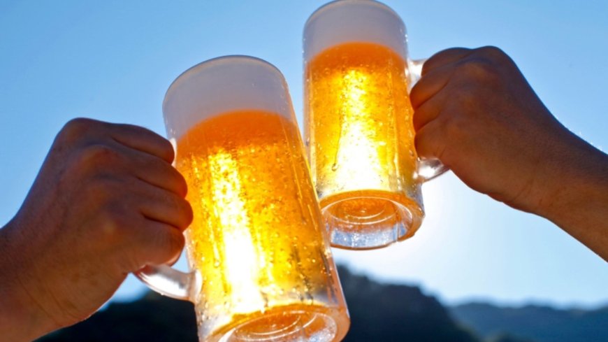 Europe Beer Market Share, Size, Growth Report 2024-2032: Price Trends, Demand Analysis, & Forecast