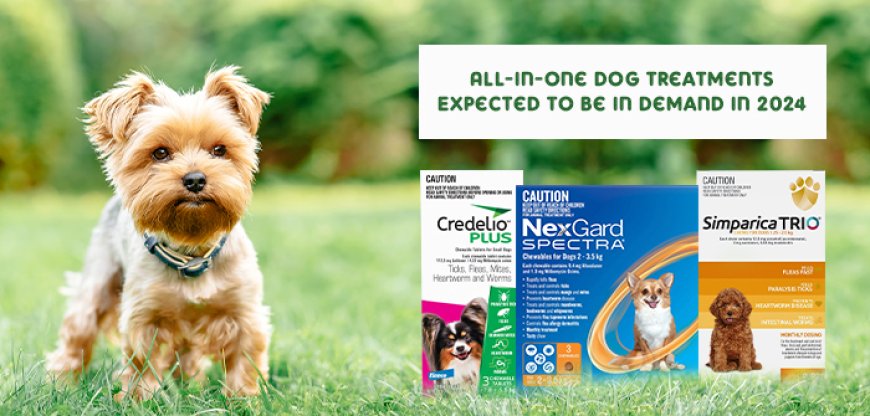 Discover the best all-in-one dog treatments for 2024