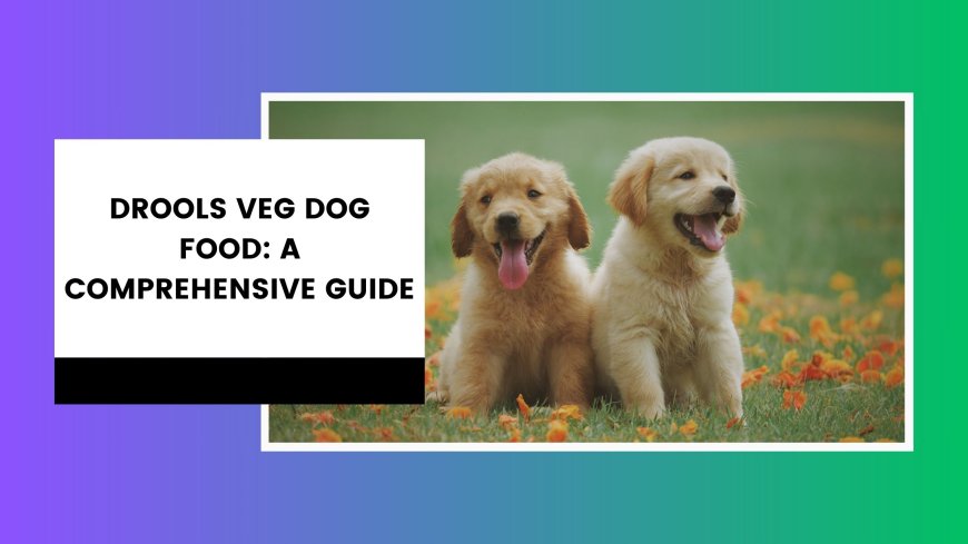 Drools Veg Dog Food: A Comprehensive Guide