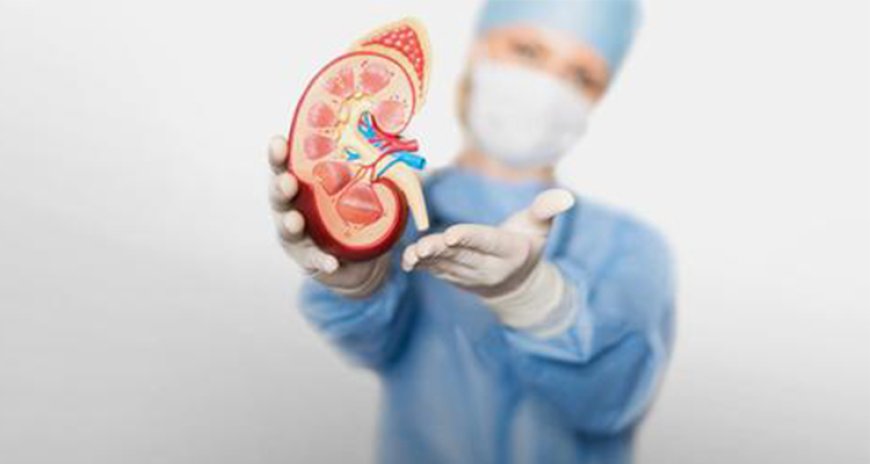 Elevate Your Health: Best Kidney Doctor and Surgeon in Grant Road by Dr. Vinod Javeri