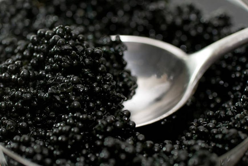 Germany Caviar Market Opportunity Brief Analysis and Industry Forecast Up To 2032