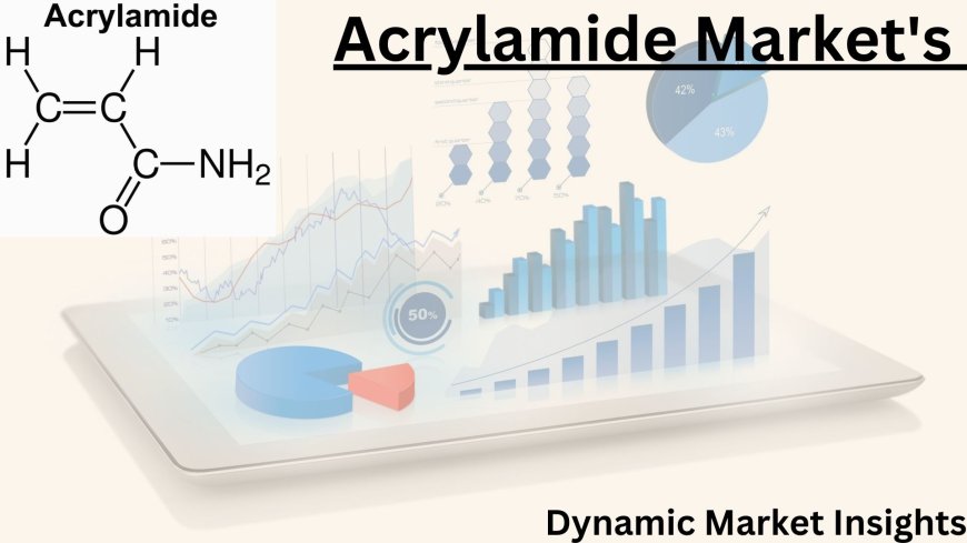 Comprehensive Growth Analysis: Acrylamide Market's Path to Billion Dollars Market by 2031: Dynamic Market Insights.