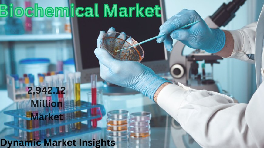 Unlocking the Future of Global Biochemical Market: Exploring the Explosive Growth through 2031 by Dynamic Market Insights