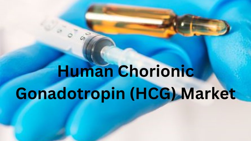 Overview of the Human Chorionic Gonadotropin (HCG) Market