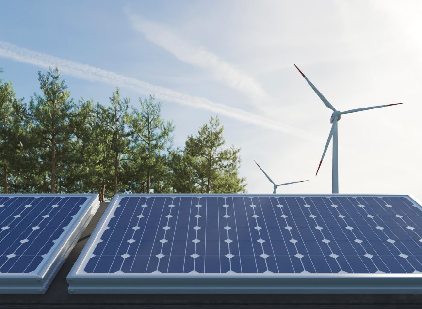 The Future of Sustainability: What to Expect at the Renewable Energy Conference