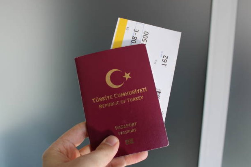 Turkey Visa for Business Visa Application Process