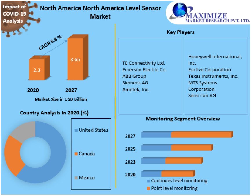 North America Level Sensor Market 2063 Vision: Industry Outlook, Size, and Projected Growth.2024-2030