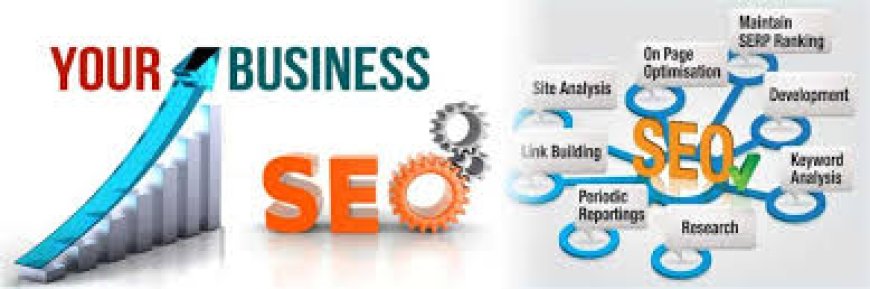 Professional SEO Services in Pakistan