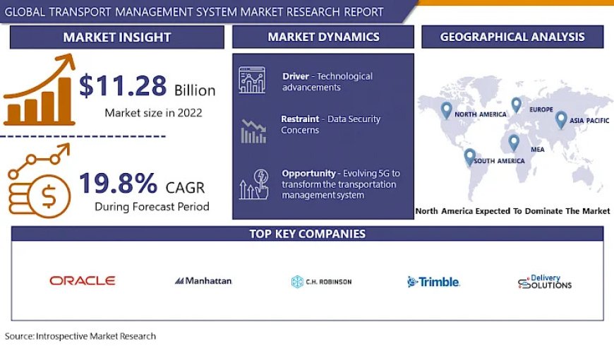 Transportation Management Systems Market: Size, Share, Future Trends, Comprehensive Analysis, Opportunity Assessment By 2032 | IMR