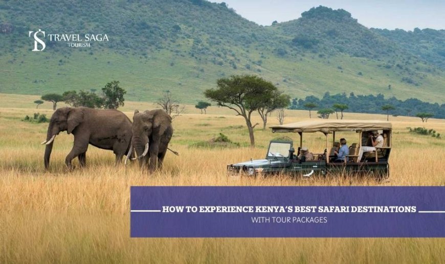 How to Experience Kenya’s Best Safari Destinations with Tour Packages?