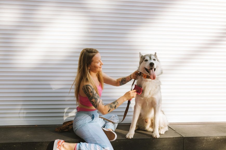 Petgroomly: Revolutionizing Pet Grooming at Home