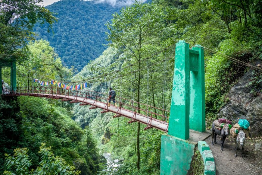 Goechala trekking