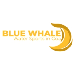 Blue Whale Goa