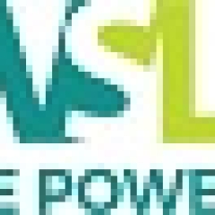 vslrepower