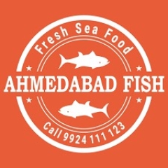 octopusseefoodinahmedabad