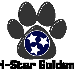 Tristar Goldens