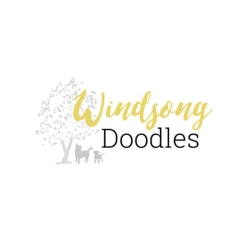 Windsong Doodles LLC