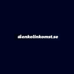 enkelinkomst