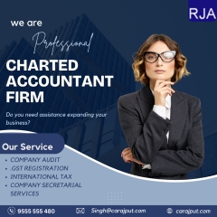 Rajput jain &amp; Associates